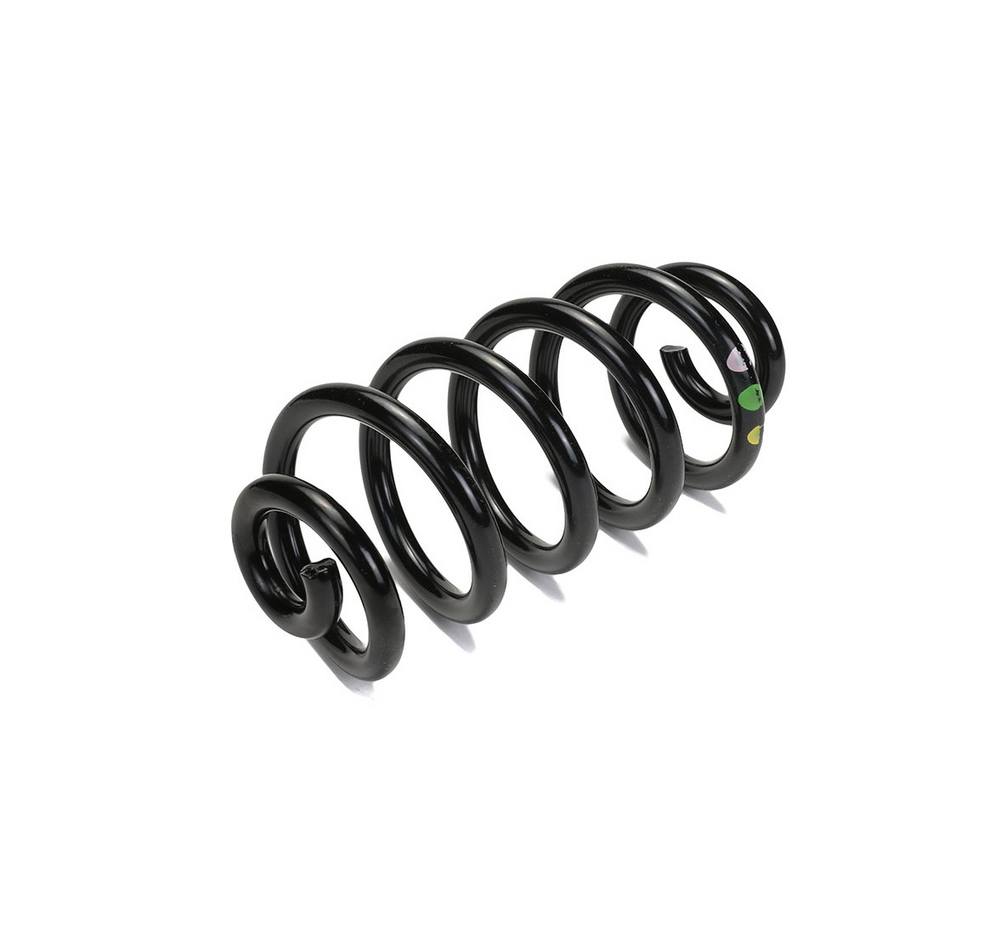 Coil Spring - Rear